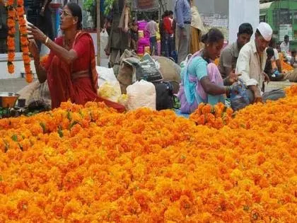 दशहरा से पहले आवक में 20-30% की गिरावट से किसानों को नुकसान दशहरा से पहले आवक में 20-30% की गिरावट से किसानों को नुकसान