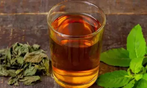 Beauty Tips: सुबह खाली पेट पिएं तुलसी का पानी, पाएं बेदाग निखरी त्वचा