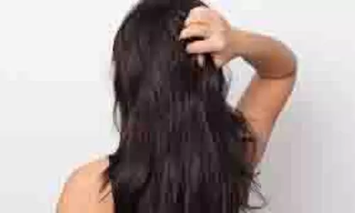 Hair Care: ये हेयर केयर रूटीन आपके बालों को 15 दिनों में घना और मजबूत बना देगा Hair Care: ये हेयर केयर रूटीन आपके बालों को 15 दिनों में घना और मजबूत बना देगा