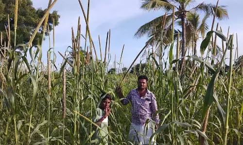 Hattichinnadagani : एक किसान जो तुर्की के ग्रामीण इलाकों में पला-बढ़ा Hattichinnadagani : एक किसान जो तुर्की के ग्रामीण इलाकों में पला-बढ़ा