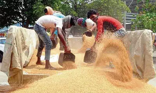 पंजाब के किसान गेहूं के MSP में 160 रुपये की बढ़ोतरी से ‘निराश’