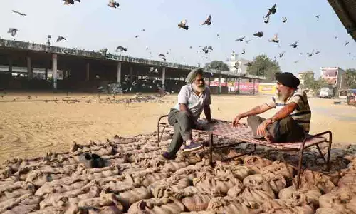 Punjab में 117 लाख मीट्रिक टन चावल आने की उम्मीद, अभी 15 लाख मीट्रिक टन भंडारण उपलब्ध