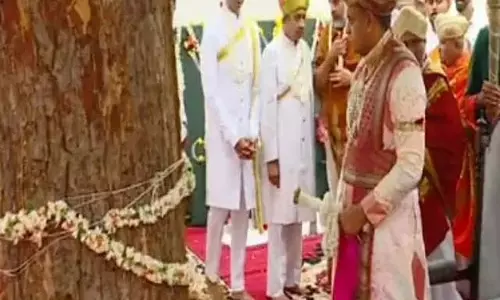 Karnataka : यदुवीर वाडियार द्वारा बन्नी वृक्ष की शमी पूजा Karnataka : यदुवीर वाडियार द्वारा बन्नी वृक्ष की शमी पूजा