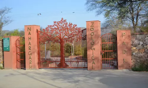 Jaipur: वन्यजीव संरक्षण पर जागरूकता बढ़ाने के लिए कार्यक्रम