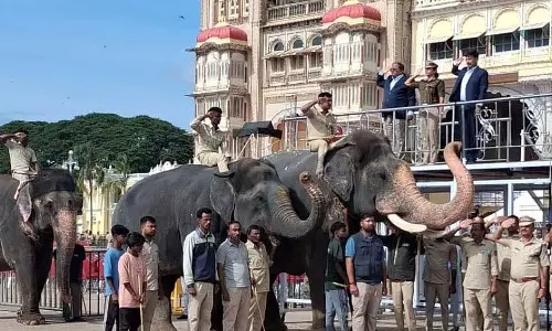 Mysore : दशहरा जंबू सावरी नंदी ध्वज पूजा के साथ शुरू होती है Mysore : दशहरा जंबू सावरी नंदी ध्वज पूजा के साथ शुरू होती है