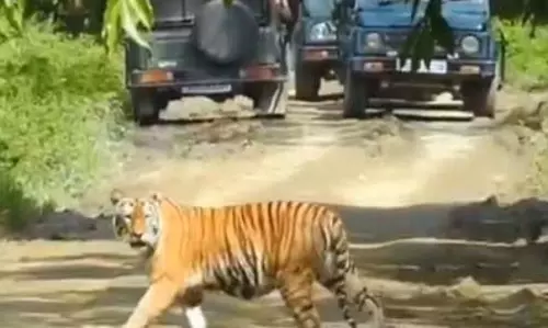 असम में 6,957 करोड़ रुपए की इंफ्रास्ट्रक्चर परियोजना को कैबिनेट की मंजूरी राज्य में इको-टूरिज्म को देगी बढ़ावा : सर्बानंद सोनोवाल असम में 6,957 करोड़ रुपए की इंफ्रास्ट्रक्चर परियोजना को कैबिनेट की मंजूरी राज्य में इको-टूरिज्म को देगी बढ़ावा : सर्बानंद सोनोवाल