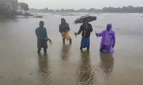 Odisha : तट की ओर गहरा दबाव बढ़ने के कारण आईएमडी ने 7 जिलों के लिए रेड अलर्ट जारी किया