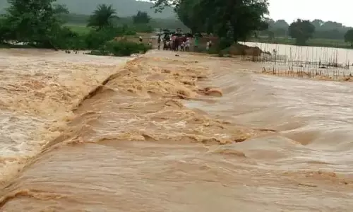 Odisha : जिले में भारी बारिश नदियां और नाले उफान पर Odisha : जिले में भारी बारिश नदियां और नाले उफान पर