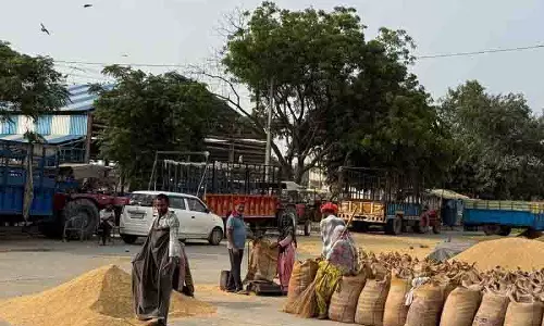 सरकारी प्रतिबंध के बावजूद Karnal अनाज मंडी में मैनुअल तराजू का बोलबाला
