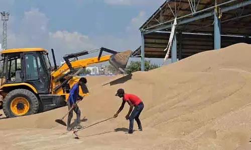 Jhajjar अनाज मंडी में 40 हजार क्विंटल बाजरा न बिकने से किसान परेशान