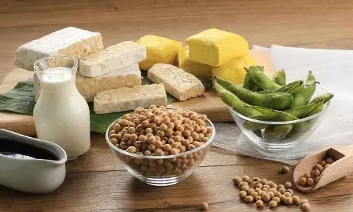 क्या आप सचमुच सोया खाद्य पदार्थ खा सकते हैं? किसे ये नहीं खाने चाहिए? क्या आप सचमुच सोया खाद्य पदार्थ खा सकते हैं? किसे ये नहीं खाने चाहिए?