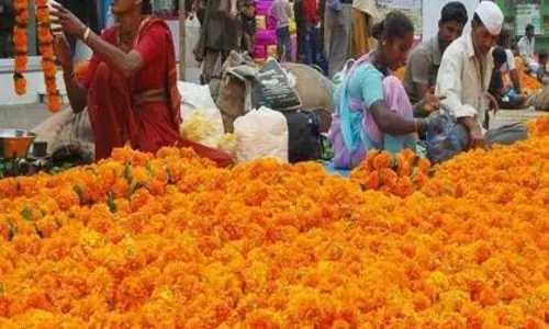 दशहरा से पहले आवक में 20-30% की गिरावट से किसानों को नुकसान