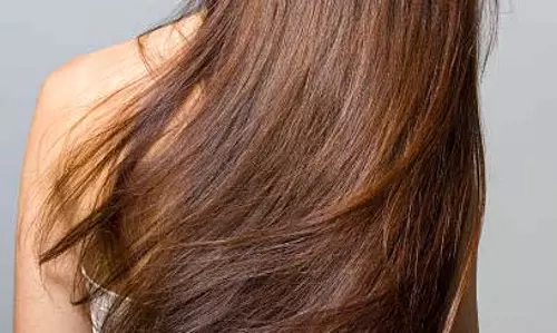 झड़ते Hair का घरेलू इलाज: चाय के पानी से बनाएं बालों को जड़ों से मजबूत झड़ते Hair का घरेलू इलाज: चाय के पानी से बनाएं बालों को जड़ों से मजबूत