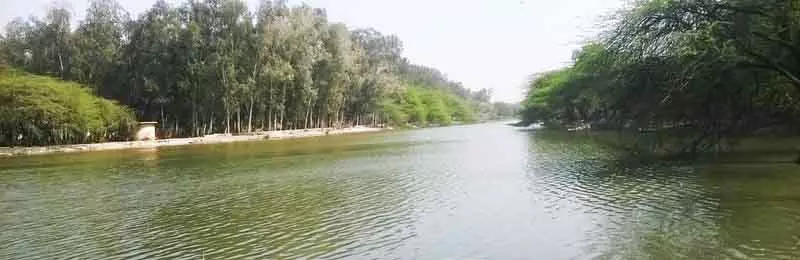 डीडीए ने संजय झील पर रेस्टोरेंट के लिए ई-नीलामी शुरू की डीडीए ने संजय झील पर रेस्टोरेंट के लिए ई-नीलामी शुरू की
