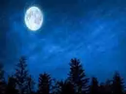 Sharad Purnima 2025: शरद पूर्णिमा की रात इन मंत्रों से करें देवी लक्ष्मी की पूजा, मिलेगी विशेष कृपा Sharad Purnima 2025: शरद पूर्णिमा की रात इन मंत्रों से करें देवी लक्ष्मी की पूजा, मिलेगी विशेष कृपा