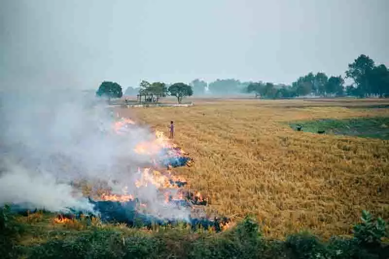 Gurdaspur में पराली जलाने की घटनाओं पर लगाम लगाने के लिए सरकारी शिक्षकों को तैनात किया गया Gurdaspur में पराली जलाने की घटनाओं पर लगाम लगाने के लिए सरकारी शिक्षकों को तैनात किया गया