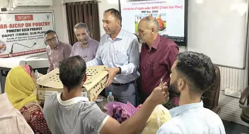 सेवा पर्व: SKUAST-K ने आदिवासी किसानों को मुर्गी के चूजे वितरित किए सेवा पर्व: SKUAST-K ने आदिवासी किसानों को मुर्गी के चूजे वितरित किए