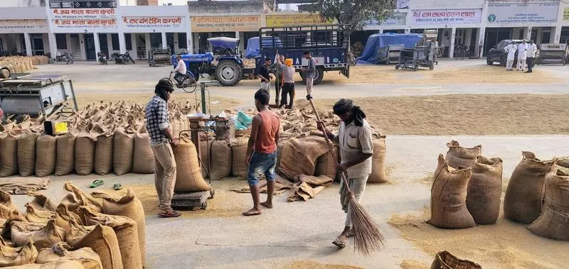 Haryana में किसानों की फसलें अभी भी मैनुअल तराजू पर क्यों तौली जा रही हैं Haryana में किसानों की फसलें अभी भी मैनुअल तराजू पर क्यों तौली जा रही हैं