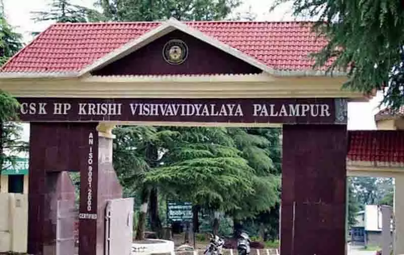 डॉ पांडा ने Palampur University के वीसी के रूप में कार्यभार संभाला डॉ पांडा ने Palampur University के वीसी के रूप में कार्यभार संभाला