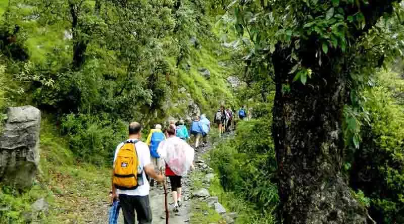 Himachal: वन विभाग ने त्रिउंड ट्रेक टेंडर रद्द किया, नई बोलियां आमंत्रित Himachal: वन विभाग ने त्रिउंड ट्रेक टेंडर रद्द किया, नई बोलियां आमंत्रित