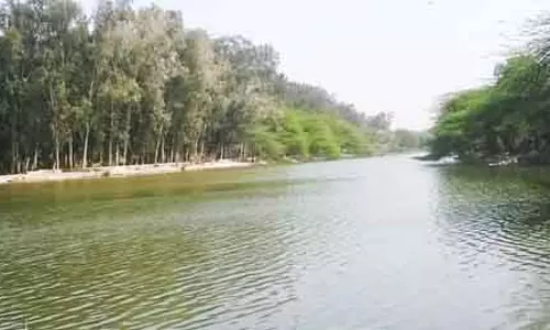 डीडीए ने संजय झील पर रेस्टोरेंट के लिए ई-नीलामी शुरू की डीडीए ने संजय झील पर रेस्टोरेंट के लिए ई-नीलामी शुरू की