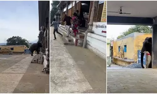 पूंडी के वेल्लियांगिरी मंदिर में एक अकेले जंगली हाथी ने श्रद्धालुओं को भयभीत कर दिया पूंडी के वेल्लियांगिरी मंदिर में एक अकेले जंगली हाथी ने श्रद्धालुओं को भयभीत कर दिया