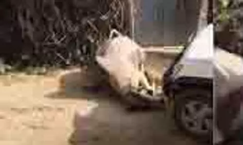 Rajasthan: सांड ने गाड़ी में टक्कर मारी तो दौड़ाकर कुचला,चली गई जान Rajasthan: सांड ने गाड़ी में टक्कर मारी तो दौड़ाकर कुचला,चली गई जान