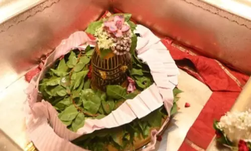 सुख-शांति और मोक्ष की प्राप्ति के लिए पद्मनाभ द्वादशी पर करें भगवान विष्णु के पद्मनाभ स्वरूप की विधिवत पूजा सुख-शांति और मोक्ष की प्राप्ति के लिए पद्मनाभ द्वादशी पर करें भगवान विष्णु के पद्मनाभ स्वरूप की विधिवत पूजा