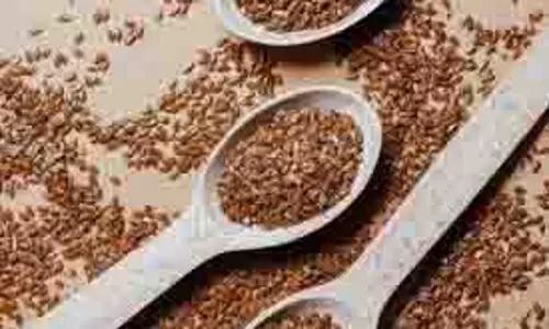 Flaxseed Hair Mask:अब इस अलसी हेयर मास्क को आजमाएं Flaxseed Hair Mask:अब इस अलसी हेयर मास्क को आजमाएं