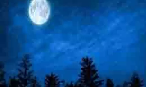 Sharad Purnima 2025: शरद पूर्णिमा की रात इन मंत्रों से करें देवी लक्ष्मी की पूजा, मिलेगी विशेष कृपा Sharad Purnima 2025: शरद पूर्णिमा की रात इन मंत्रों से करें देवी लक्ष्मी की पूजा, मिलेगी विशेष कृपा