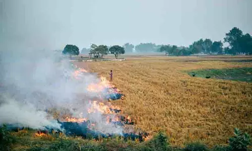 Gurdaspur में पराली जलाने की घटनाओं पर लगाम लगाने के लिए सरकारी शिक्षकों को तैनात किया गया Gurdaspur में पराली जलाने की घटनाओं पर लगाम लगाने के लिए सरकारी शिक्षकों को तैनात किया गया