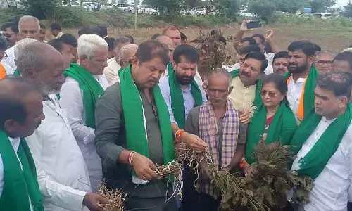Karnataka rains : भाजपा नेताओं ने नेसरगी, बेलगाम में फसल क्षति का निरीक्षण किया Karnataka rains : भाजपा नेताओं ने नेसरगी, बेलगाम में फसल क्षति का निरीक्षण किया