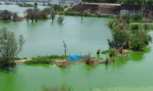 Haryana :  मसानी बैराज के अपशिष्ट जल के लिए पाइपलाइन परियोजना का विरोध