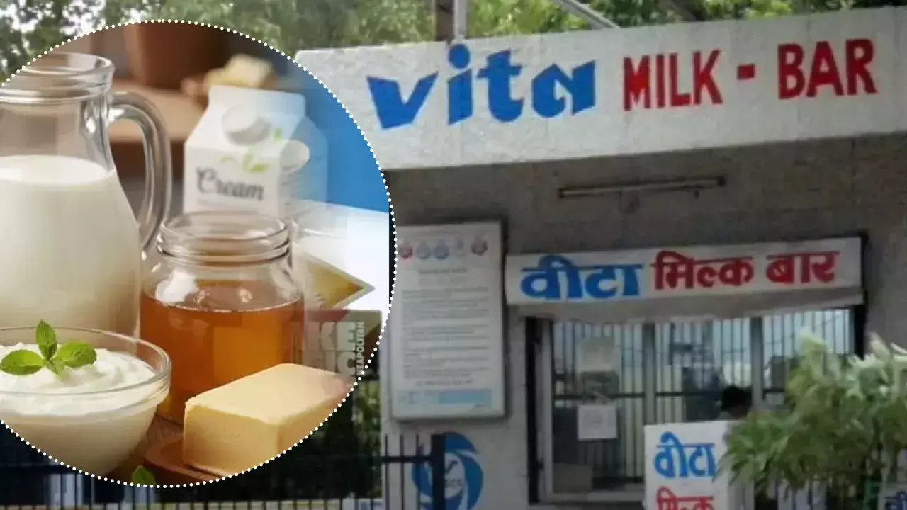 Chandigarh: त्योहारी सीजन में VITA ने बढ़ाया घी का रेट