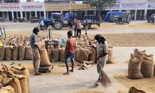 Haryana में किसानों की फसलें अभी भी मैनुअल तराजू पर क्यों तौली जा रही हैं