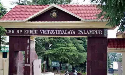 डॉ पांडा ने Palampur University के वीसी के रूप में कार्यभार संभाला डॉ पांडा ने Palampur University के वीसी के रूप में कार्यभार संभाला