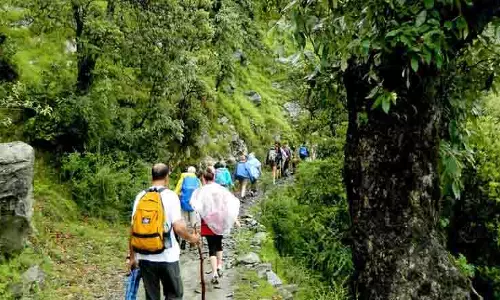 Himachal: वन विभाग ने त्रिउंड ट्रेक टेंडर रद्द किया, नई बोलियां आमंत्रित Himachal: वन विभाग ने त्रिउंड ट्रेक टेंडर रद्द किया, नई बोलियां आमंत्रित