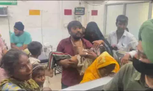 Khanna में आवारा कुत्तों ने एक दिन में 20 लोगों को काटा