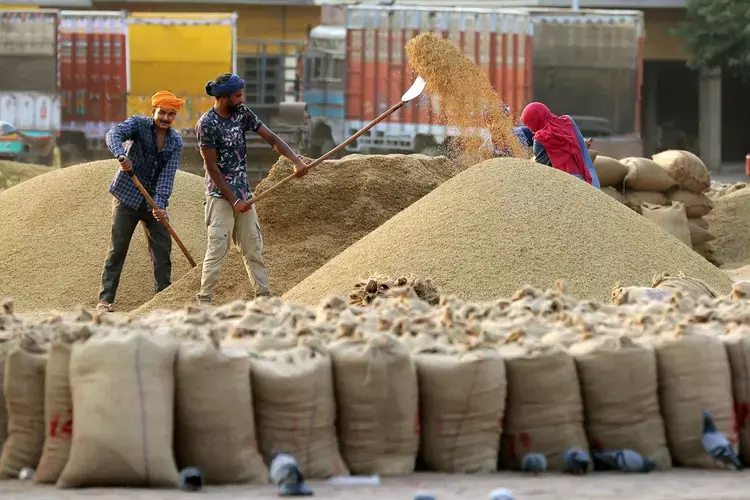 Kerala बैंक राज्य भर में सहकारी समर्थन के साथ धान खरीद का कार्यभार संभालने के लिए Kerala बैंक राज्य भर में सहकारी समर्थन के साथ धान खरीद का कार्यभार संभालने के लिए