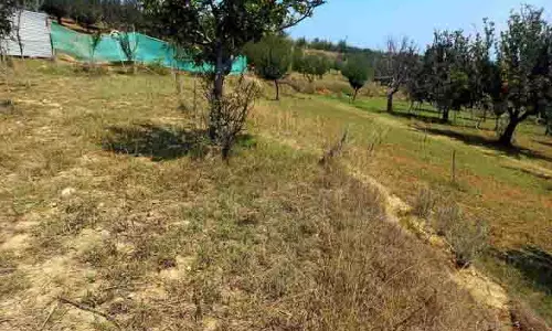 Pattan के गांवों को बागों के लिए लिफ्ट सिंचाई का इंतजार