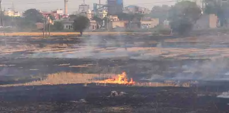 Gurdaspur प्रशासन ने पराली जलाने पर रोक लगाने के लिए तैनात शिक्षकों की ड्यूटी रद्द की Gurdaspur प्रशासन ने पराली जलाने पर रोक लगाने के लिए तैनात शिक्षकों की ड्यूटी रद्द की