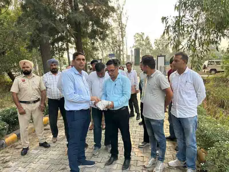 Punjab: फसल नुकसान पर विशेष गिरदावरी 7 अक्टूबर तक पूरी हो जाएगी Punjab: फसल नुकसान पर विशेष गिरदावरी 7 अक्टूबर तक पूरी हो जाएगी