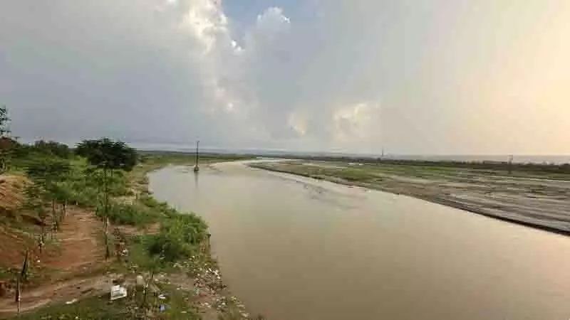 Punjab ने स्वान पर काबू पाने के लिए 1,000 करोड़ रुपये की योजना तैयार की Punjab ने स्वान पर काबू पाने के लिए 1,000 करोड़ रुपये की योजना तैयार की