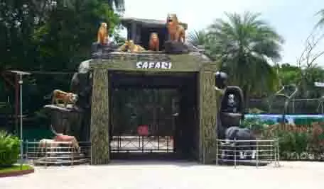 Hyderabad Zoo आगंतुकों के लिए सफारी अनुभव को बेहतर बनाने के लिए तैयार Hyderabad Zoo आगंतुकों के लिए सफारी अनुभव को बेहतर बनाने के लिए तैयार