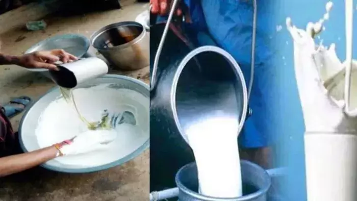 Farrukhabad: दूध विक्रेताओं पर बड़ी कार्रवाई, विभाग की छापेमारी Farrukhabad: दूध विक्रेताओं पर बड़ी कार्रवाई, विभाग की छापेमारी