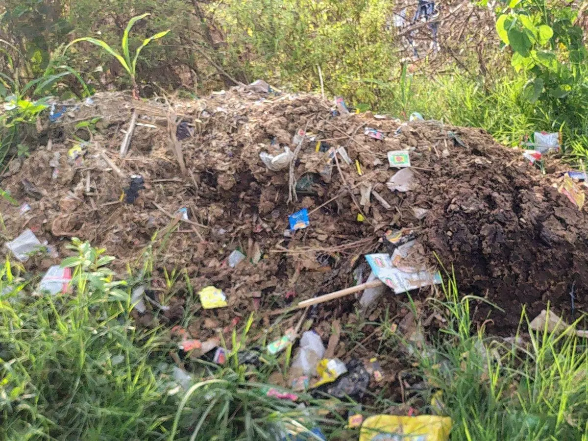 Farrukhabad: मोहल्ले में गंदगी के ढेर को हटाने में जुटे निवासी Farrukhabad: मोहल्ले में गंदगी के ढेर को हटाने में जुटे निवासी