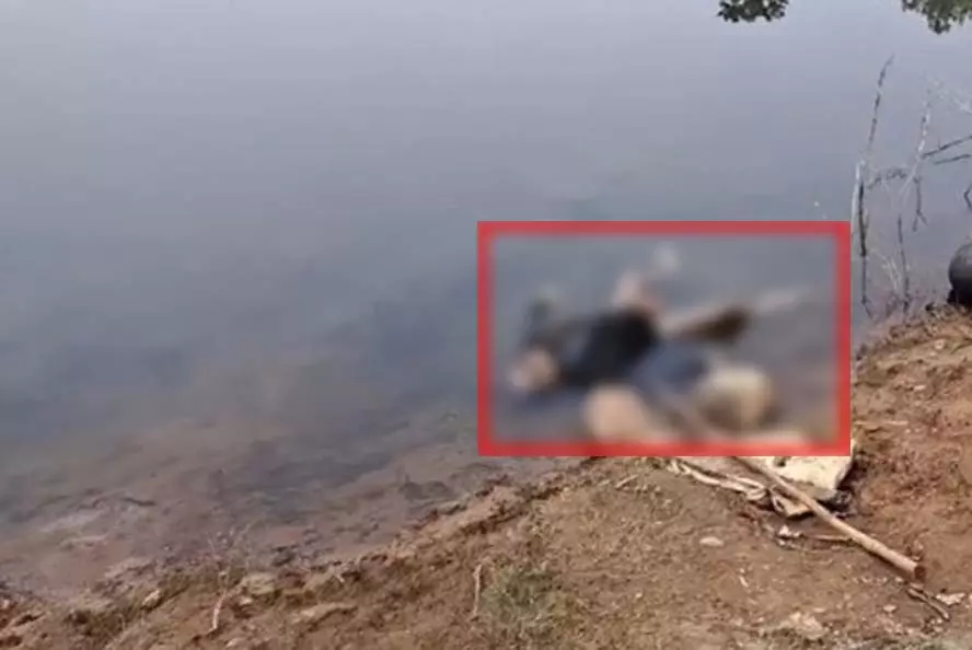 CG: बांध में मिला अज्ञात व्यक्ति का शव, पुलिस जांच में जुटी CG: बांध में मिला अज्ञात व्यक्ति का शव, पुलिस जांच में जुटी