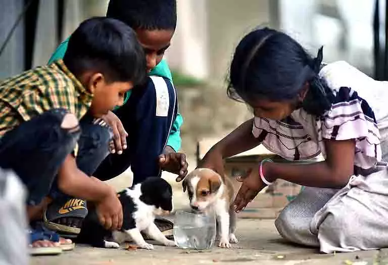 Uttarakhand: हर दिन तीन बच्चे लापता, बाल सुरक्षा पर चिंता बढ़ी Uttarakhand: हर दिन तीन बच्चे लापता, बाल सुरक्षा पर चिंता बढ़ी