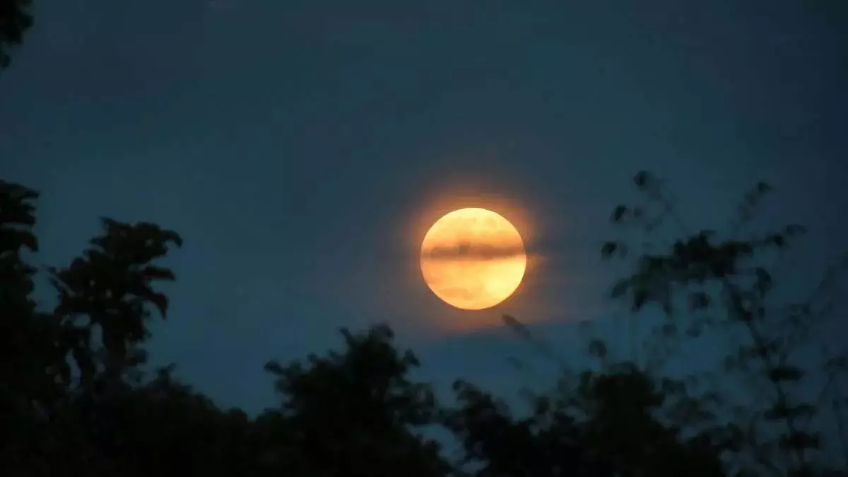 Sharad Purnima व्रत: जानिए चमत्कारिक फायदे और पूरी कथा Sharad Purnima व्रत: जानिए चमत्कारिक फायदे और पूरी कथा