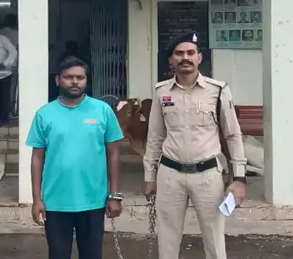 AI वीडियो से ब्लैकमेल कर बॉयफ्रेंड ने गर्लफ्रेंड से वसूले 8 लाख रुपए, गिरफ्तार AI वीडियो से ब्लैकमेल कर बॉयफ्रेंड ने गर्लफ्रेंड से वसूले 8 लाख रुपए, गिरफ्तार